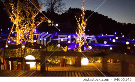 Illuminations at Ibaraki Flower Park 94605145