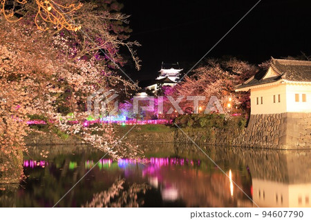 小田原城的櫻花和燈火通明 94607790