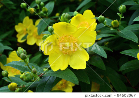 Great Balloon Great Balloon 94608067