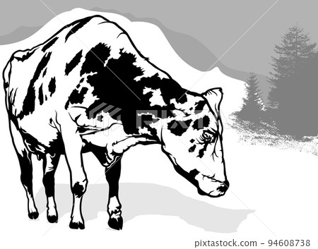 Drawing of Spotted Dairy Cow from Front View Drawing of Spotted Dairy Cow from Front View 94608738