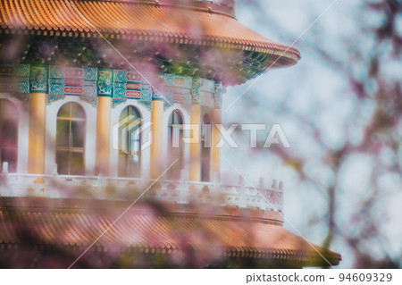 Cherry blossoms  94609329