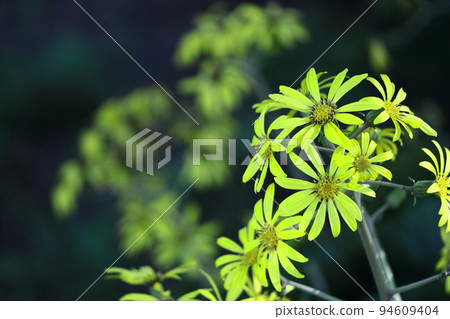 Japanese-style flowers 94609404