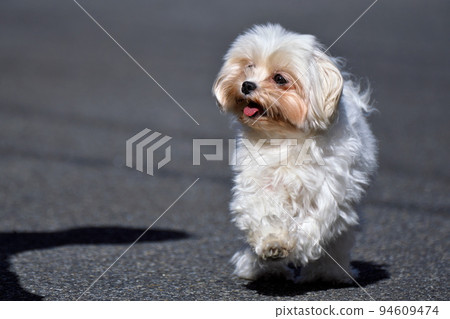 give me something 94609474