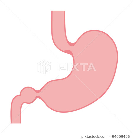 人體胃的插圖 94609496
