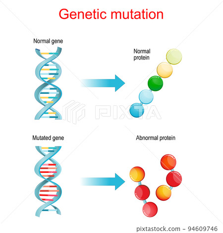 Genetic mutation. Normal and mutated genes that synthesis normal and Abnormal proteins. 94609746