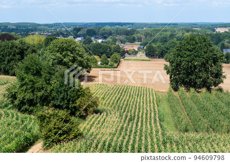 Rural scene with agricutlure fields at the Flemish countryside around Tielt-Winge, Belgium 94609798