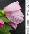 Flower 94610799