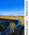View of a large crayfish lake. State Natural Reserve Cancer Lakes , St. Petersburg 94610982