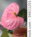 Flowers 94611201