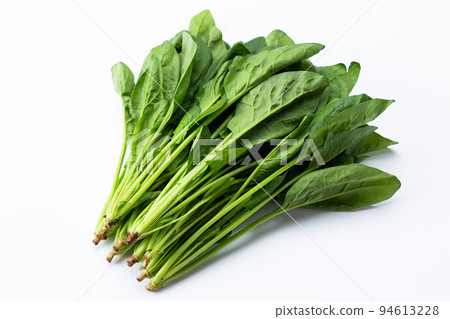 菠菜 94613228