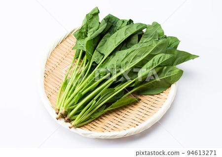 菠菜 94613271