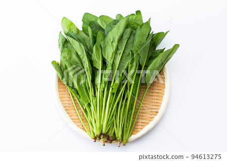 spinach  94613275
