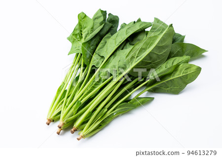 spinach spinach 94613279
