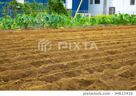 被房屋和公寓包圍的城市田地，以及種植前的芋頭葉和壟的農田（東京練馬區） 94613410
