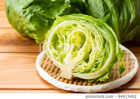 lettuce	 94613482