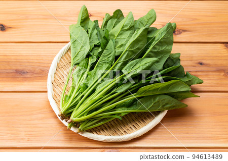 菠菜 94613489