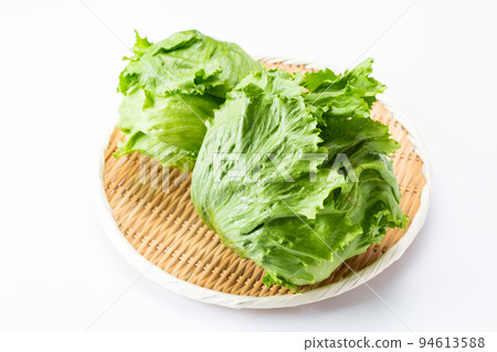 lettuce	 94613588