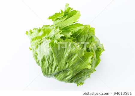 生菜 94613591