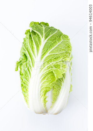 中國的白菜 中國的白菜 94614003