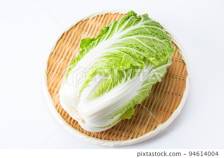 Cabbage 94614004