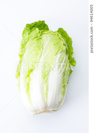 Cabbage 94614005