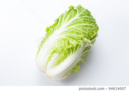 Cabbage Cabbage 94614007
