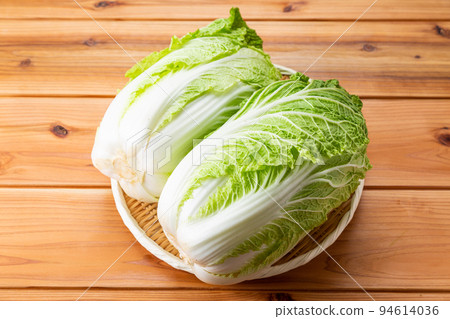 中國的白菜 中國的白菜 94614036