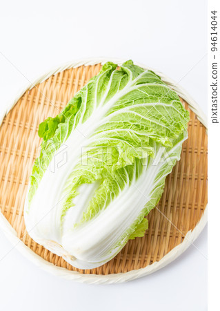 中國的白菜 94614044