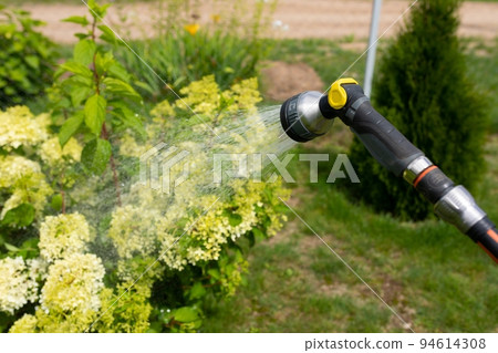 watering plants in the garden with a garden hose and sprinkler watering plants in the garden with a garden hose and sprinkler 94614308