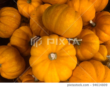 Halloween, mini pumpkin close-up Halloween, mini pumpkin close-up 94614809