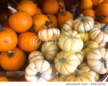 萬聖節，迷你南瓜特寫 94615010