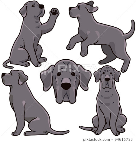 Simple and cute Great Dane illustration set with main lines Simple and cute Great Dane illustration set with main lines 94615753