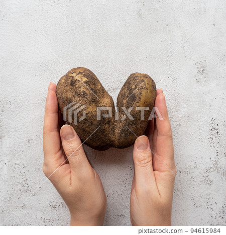 Heart-shaped potato in woman's hands on a gray background. Funny, ugly vegetable or food waste concept 94615984