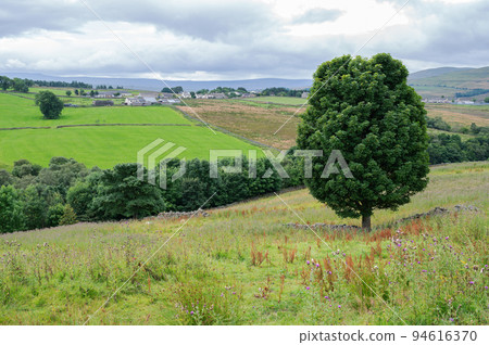 Walking Pennine way near Cumbria. The landscapes around Alston town, highest market settlement in England, selective focus Walking Pennine way near Cumbria. The landscapes around Alston town, highest market settlement in England, selective focus 94616370