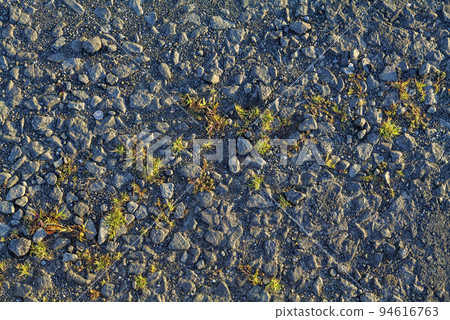 Old crumbled asphalt pattern, grass breaks through the asphalt. Old crumbled asphalt pattern, grass breaks through the asphalt. 94616763