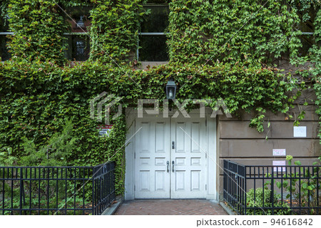 Old wooden door on a wall covered in greenery. Windows above entrance, metal forged fence on front. Old wooden door on a wall covered in greenery. Windows above entrance, metal forged fence on front. 94616842