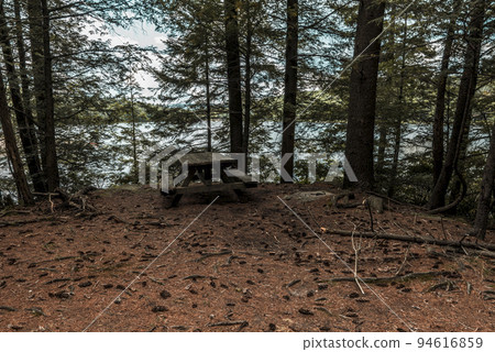 Old wooden picnic table in the spruce forest, near North-South lake. Old wooden picnic table in the spruce forest, near North-South lake. 94616859