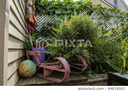 fern tree outdoor, handmade conception, in sunny backyard shot at shallow depth of field 94616983