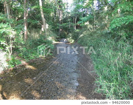 澤泉水樹蔭 澤泉水樹蔭 94620000
