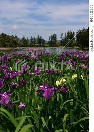Motsuji Temple, Chusonji Temple, Pure Land Garden, Oshu, Fujiwara, Japan, Tohoku, Iwate Prefecture, Hiraizumi Motsuji Temple, Chusonji Temple, Pure Land Garden, Oshu, Fujiwara, Japan, Tohoku, Iwate Prefecture, Hiraizumi 94620196