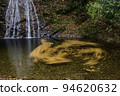 autumn leaves waterfall 94620632
