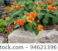 Lantana Garden Shichihenge Shichihenge 94621396