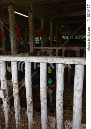 岩手縣東北市瀧澤市雫石町小岩井農場 94621617