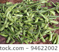 Harvest of Edamame 94622002