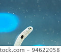 Aquarium's snuff 94622058