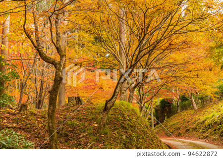 秋天在大原，有秋葉的京都 Raigoin 寺 94622872