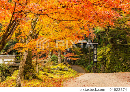 秋天在大原，有秋葉的京都 Raigoin 寺 94622874