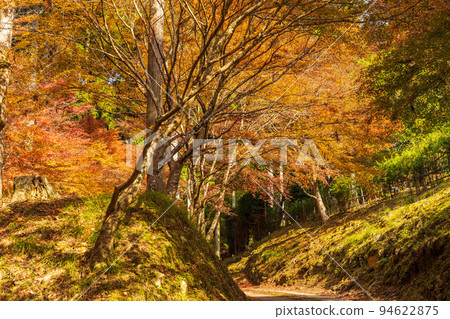 秋天在大原，有秋葉的京都 Raigoin 寺 94622875