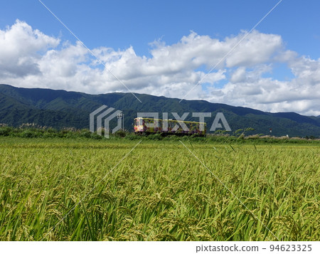 花長井線秋天稻穗 花長井線秋天稻穗 94623325