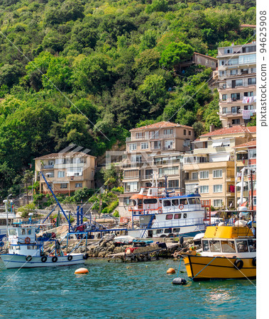 Green mountains of the European side of Bosphorus strait, with docked boats, houses and dense trees in a summer day Green mountains of the European side of Bosphorus strait, with docked boats, houses and dense trees in a summer day 94625908